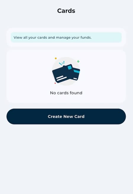 EverTry virtual dollar card creation screen showing generated card details